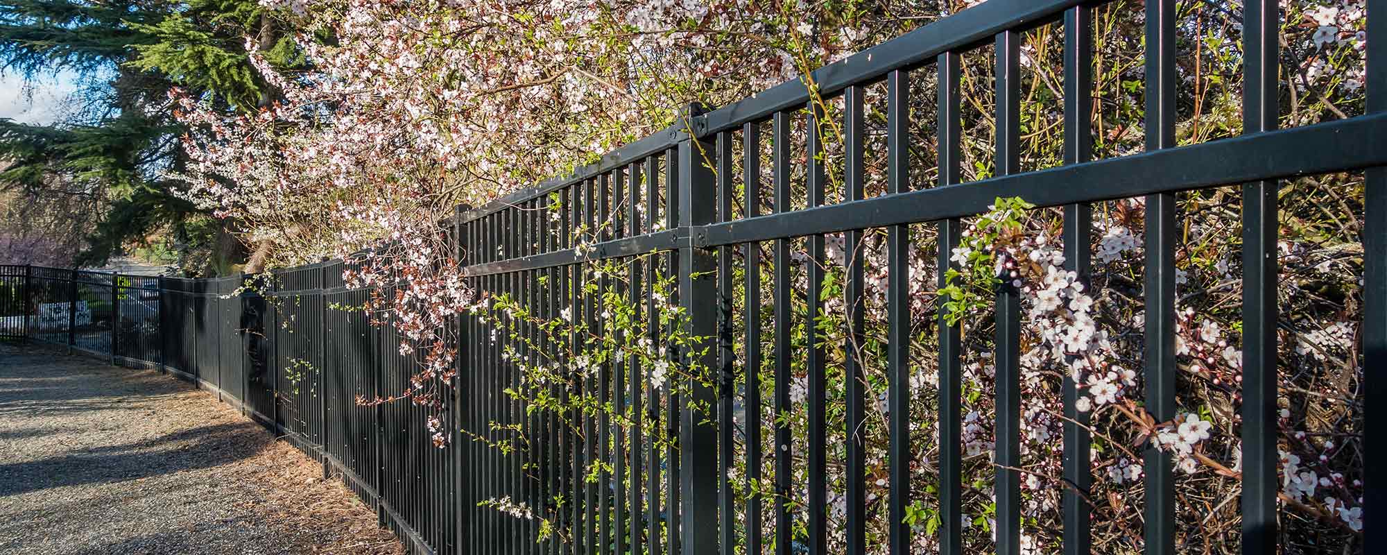 Ornamental Steel fence installed